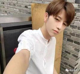 娱乐圈吃瓜小哥小说